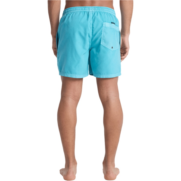 2026 Quiksilver Männer Everyday Surfwash Volley 15